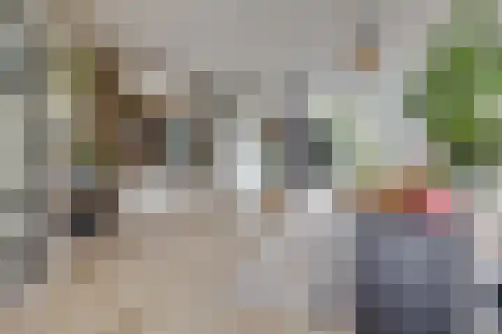 Hondsdraf 20 Leusden thumbnail 7