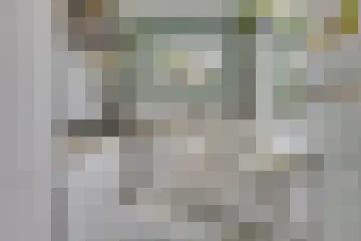 Hondsdraf 20 Leusden thumbnail 8