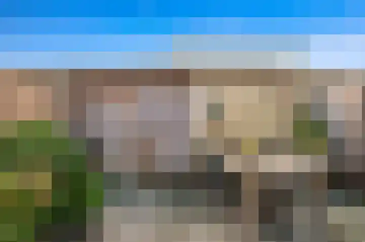 Hondsdraf 21 Maasland thumbnail 13