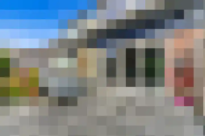 Hondsdraf 21 Maasland thumbnail 14