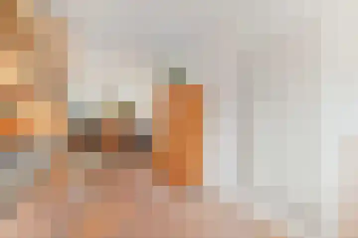 Hondsdraf 21 Maasland thumbnail 20