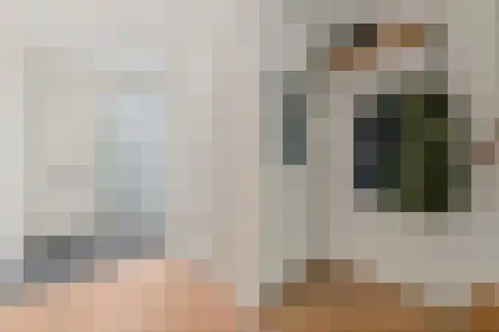 Hondsdraf 21 Maasland thumbnail 21