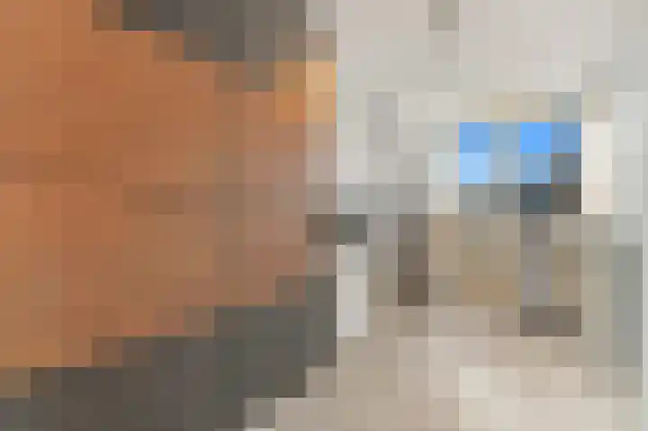 Hondsdraf 21 Maasland thumbnail 25