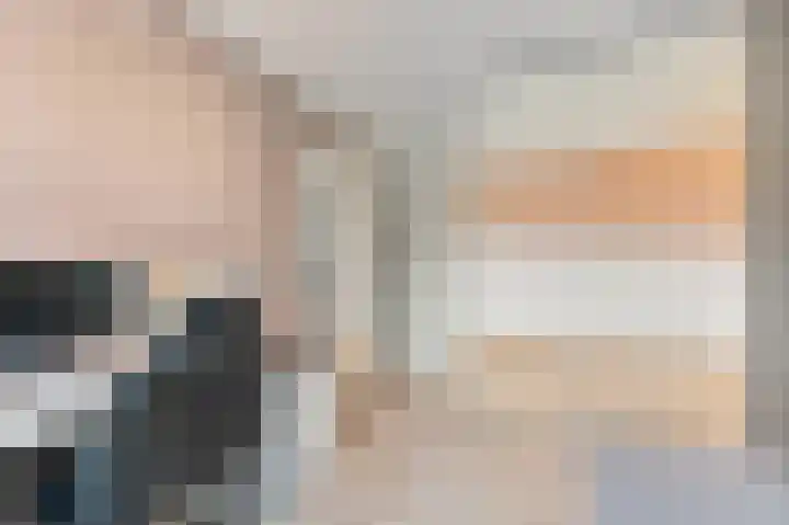 Hondsdraf 21 Maasland thumbnail 31