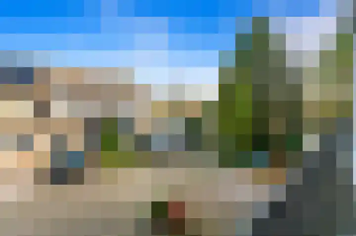 Hondsdraf 21 Maasland thumbnail 33