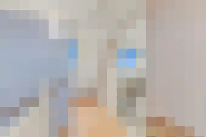 Hondsdraf 21 Maasland thumbnail 39