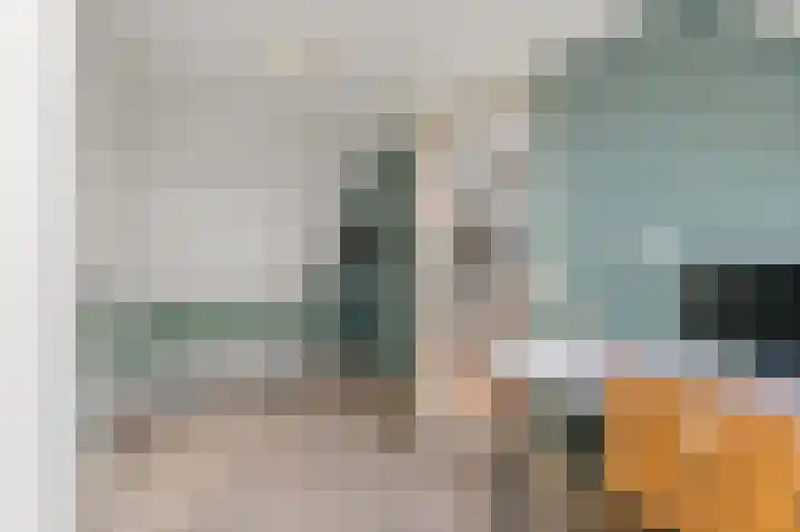 Hondsdraf 21 Maasland thumbnail 42