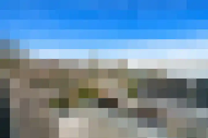 Hondsdraf 21 Maasland thumbnail 43