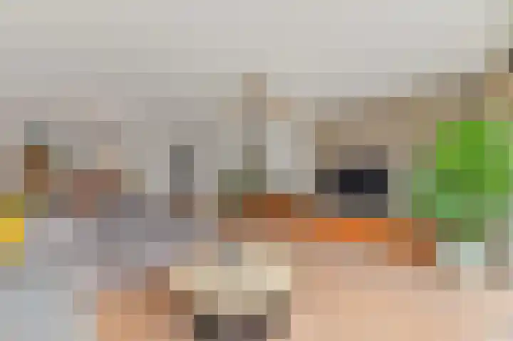 Hondsdraf 21 Maasland thumbnail 9