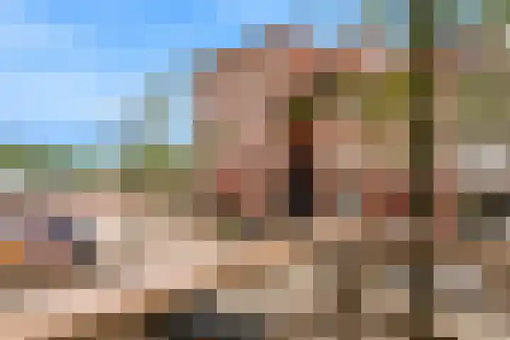 Hondsdraf 26 Sprang-Capelle thumbnail 10
