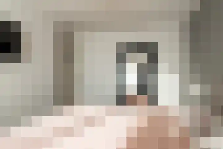 Hondsdraf 26 Sprang-Capelle thumbnail 12