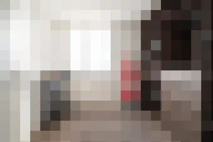 Hondsdraf 26 Sprang-Capelle thumbnail 13