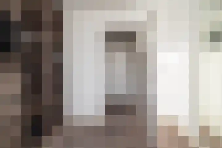 Hondsdraf 26 Sprang-Capelle thumbnail 14