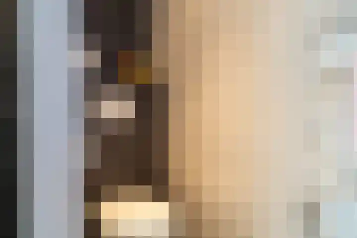 Hondsdraf 26 Sprang-Capelle thumbnail 18