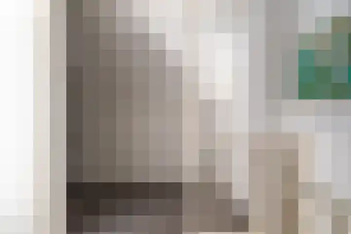 Hondsdraf 26 Sprang-Capelle thumbnail 21