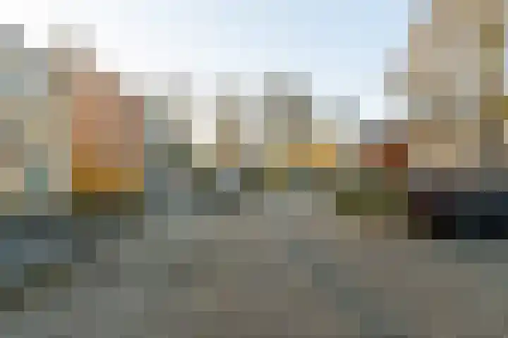Hondsdraf 26 Sprang-Capelle thumbnail 27
