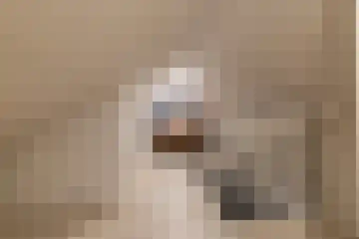 Hondsdraf 26 Sprang-Capelle thumbnail 30