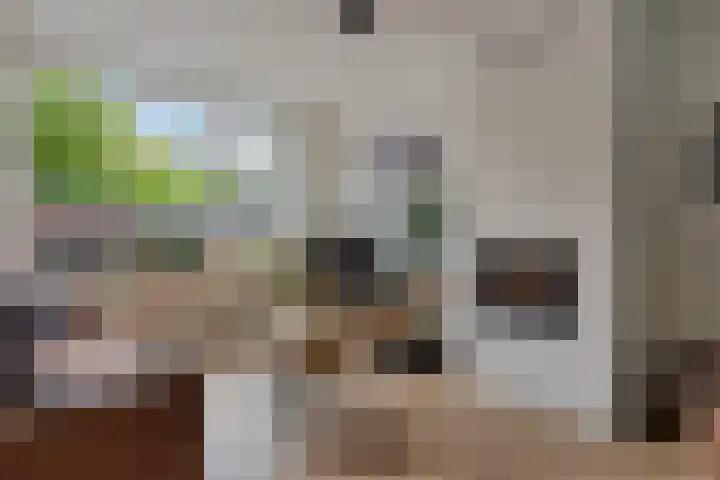 Hondsdraf 28 Leusden thumbnail 11