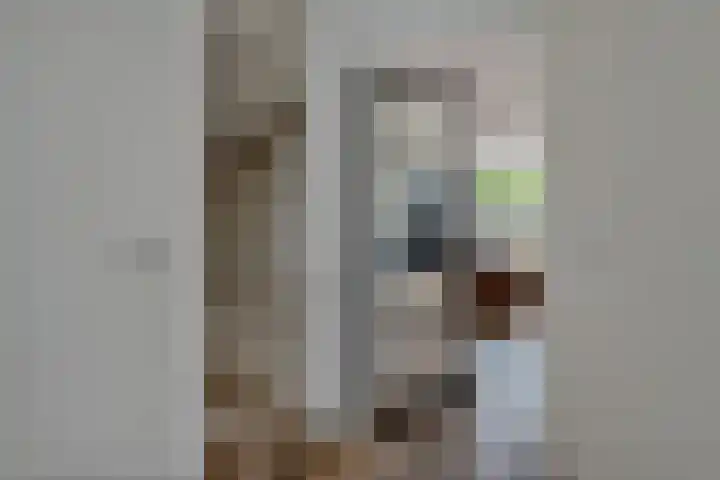 Hondsdraf 28 Leusden thumbnail 12