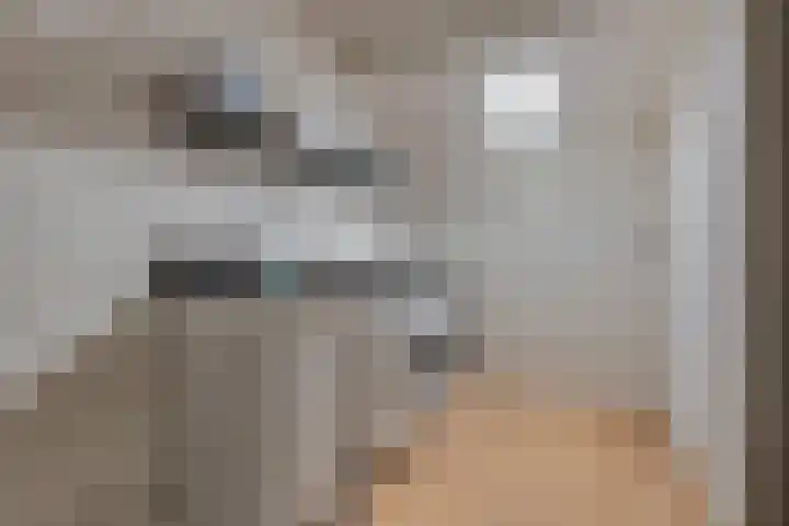 Hondsdraf 28 Leusden thumbnail 23