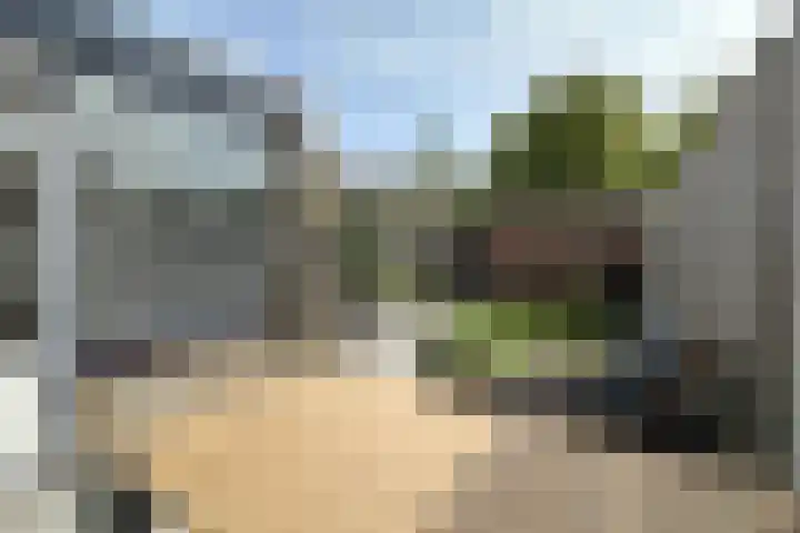 Hondsdraf 28 Leusden thumbnail 26