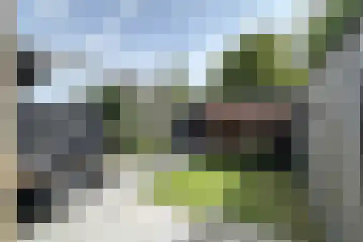 Hondsdraf 28 Leusden thumbnail 27