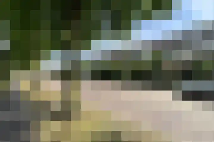 Hondsdraf 28 Leusden thumbnail 29