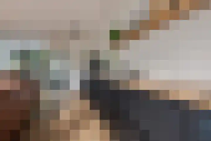 Hondsdraf 28 Leusden thumbnail 9