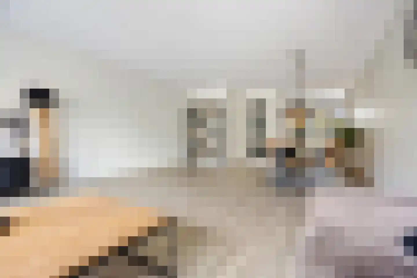 Hondsdraf 31 Voorthuizen thumbnail 11