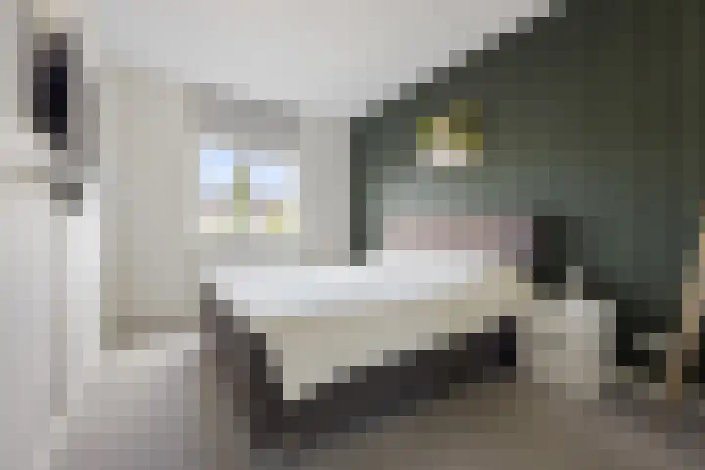 Hondsdraf 31 Voorthuizen thumbnail 14