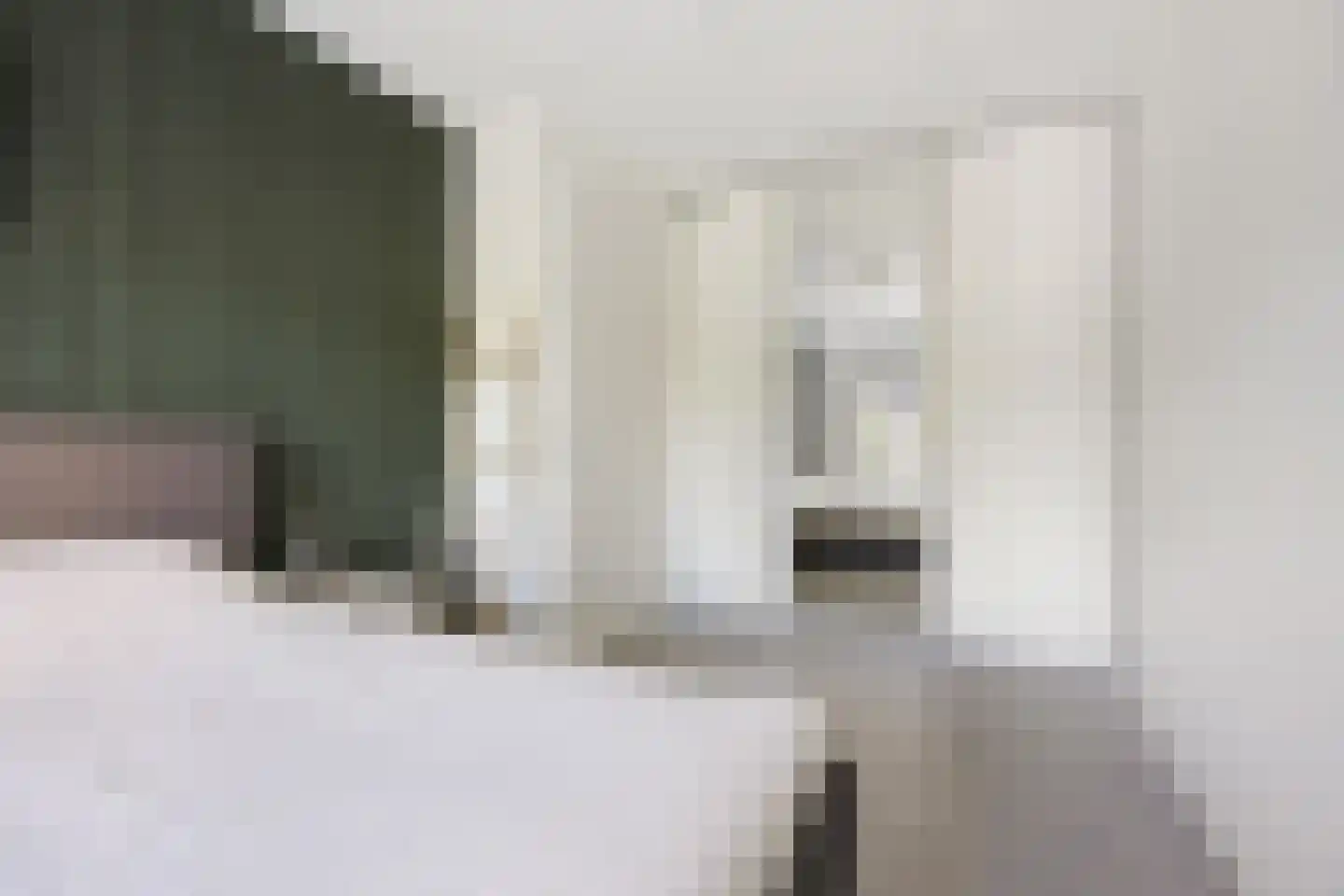 Hondsdraf 31 Voorthuizen thumbnail 15