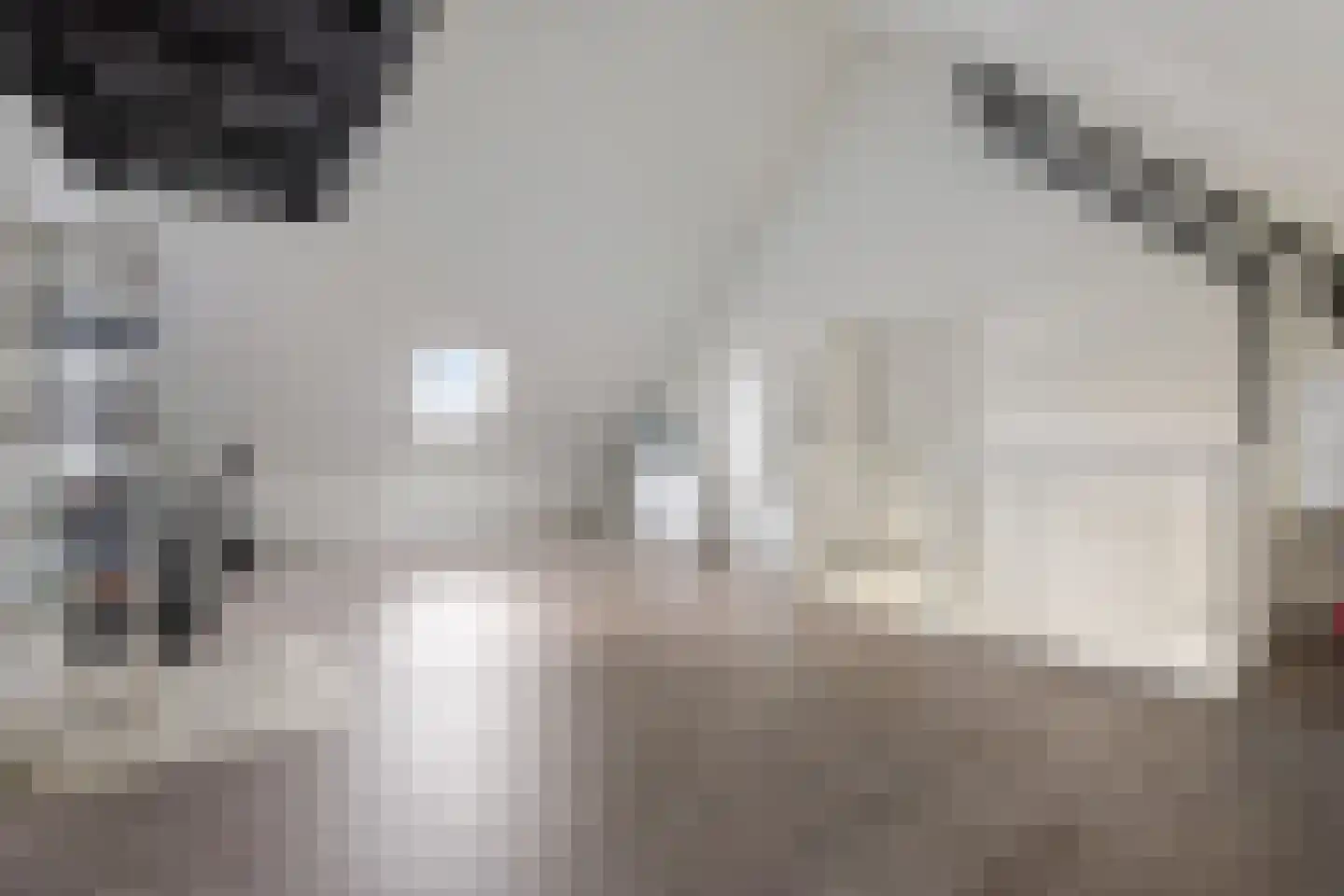 Hondsdraf 31 Voorthuizen thumbnail 23