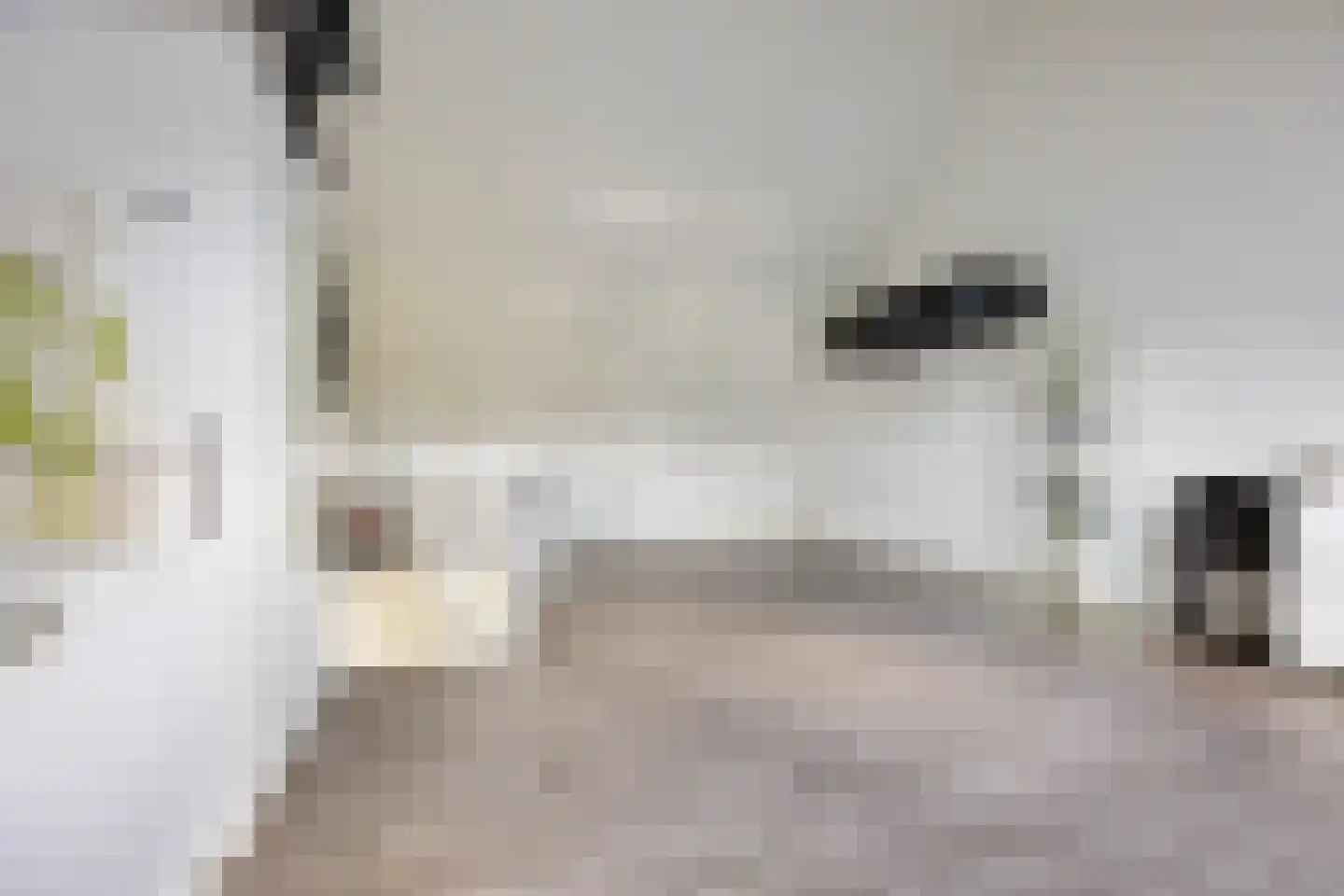 Hondsdraf 31 Voorthuizen thumbnail 24