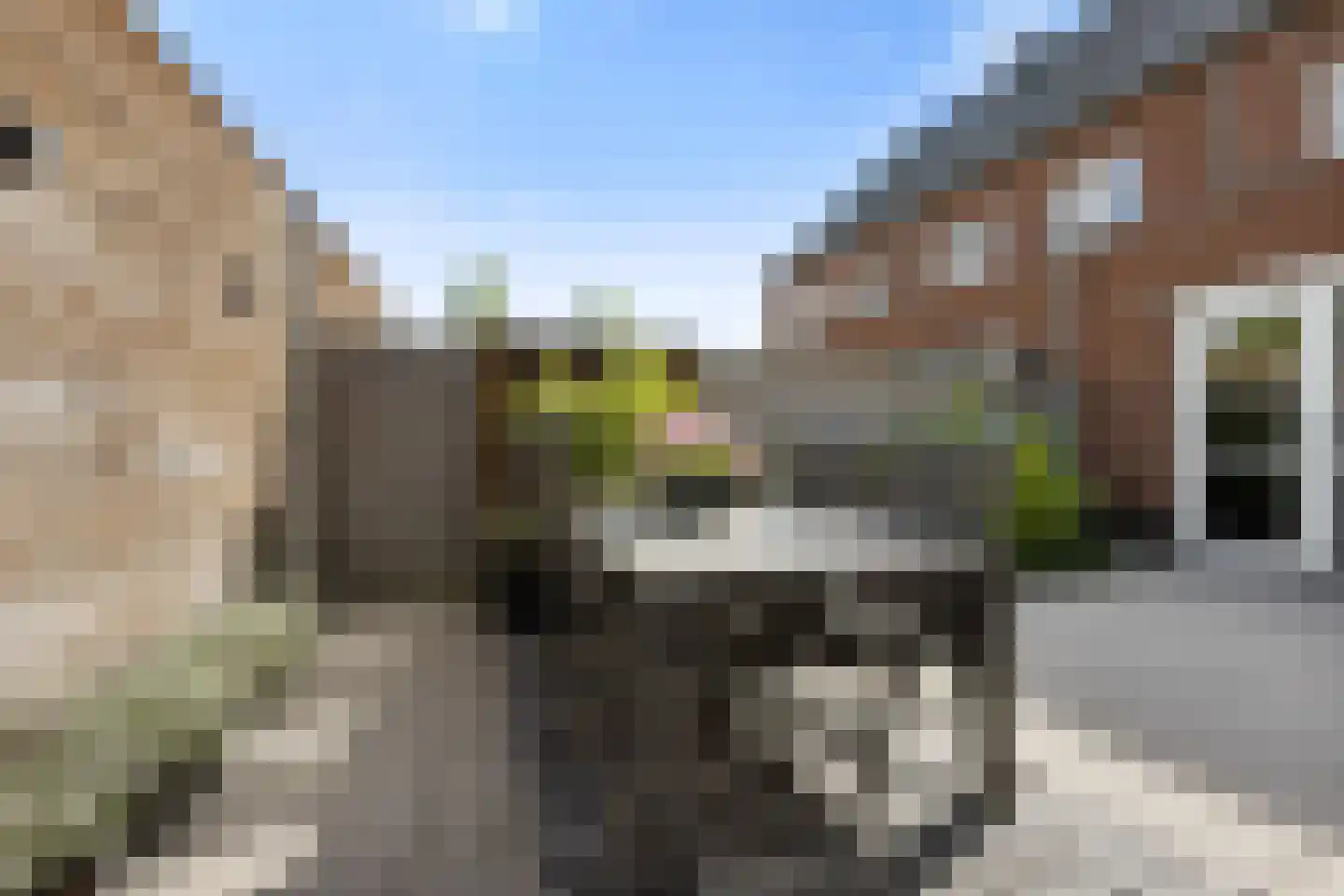 Hondsdraf 31 Voorthuizen thumbnail 27