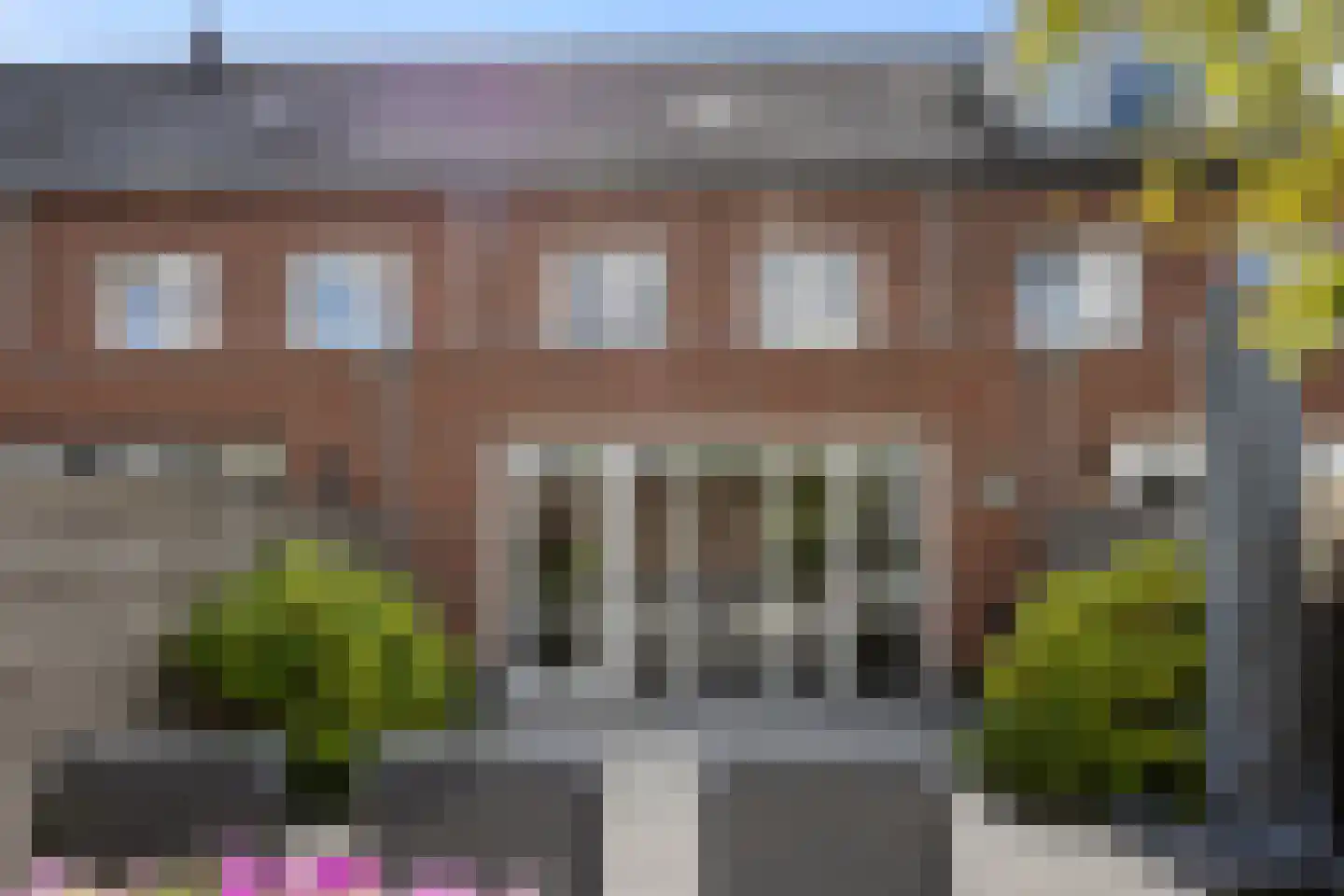 Hondsdraf 31 Voorthuizen thumbnail 28