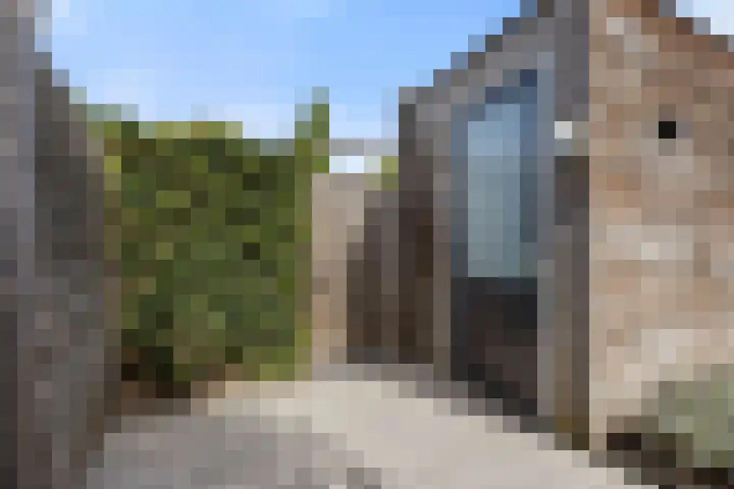 Hondsdraf 31 Voorthuizen thumbnail 30