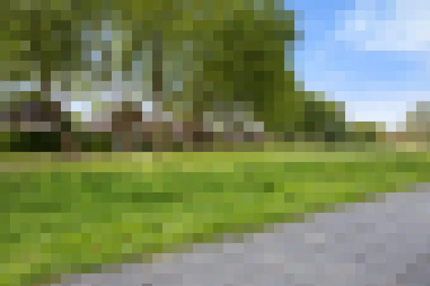 Hondsdraf 31 Voorthuizen thumbnail 33