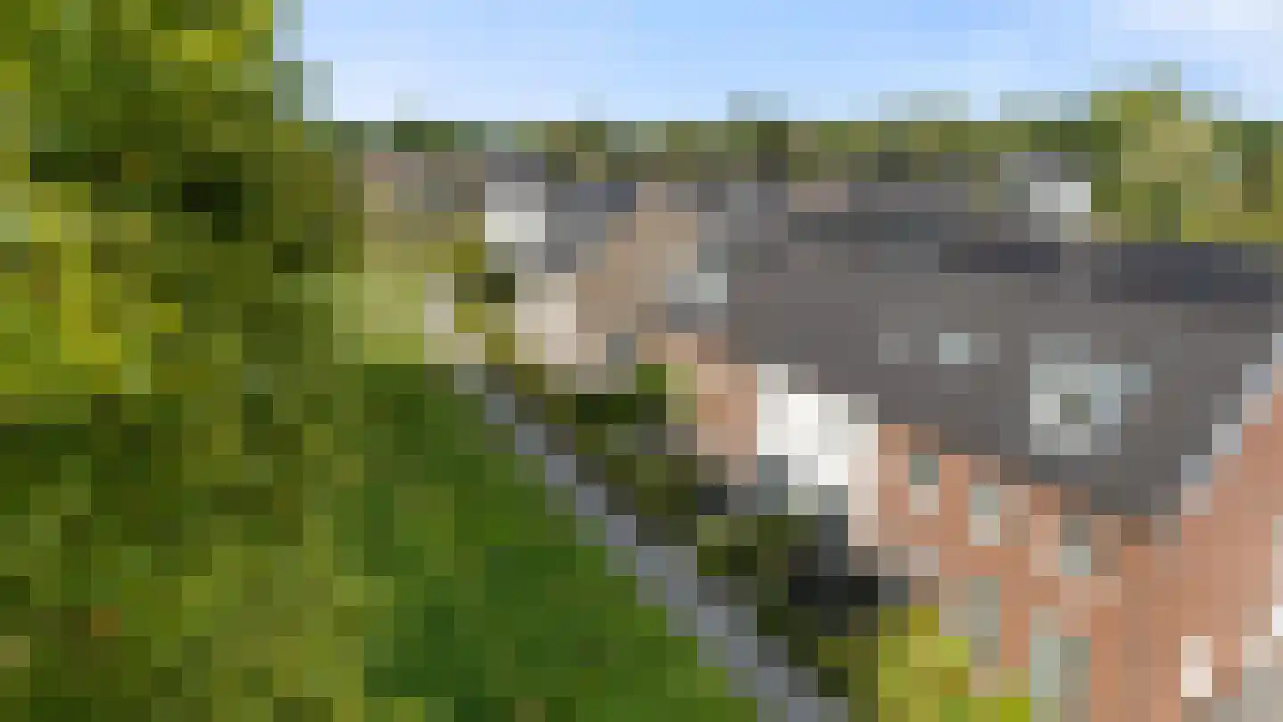 Hondsdraf 31 Voorthuizen thumbnail 34