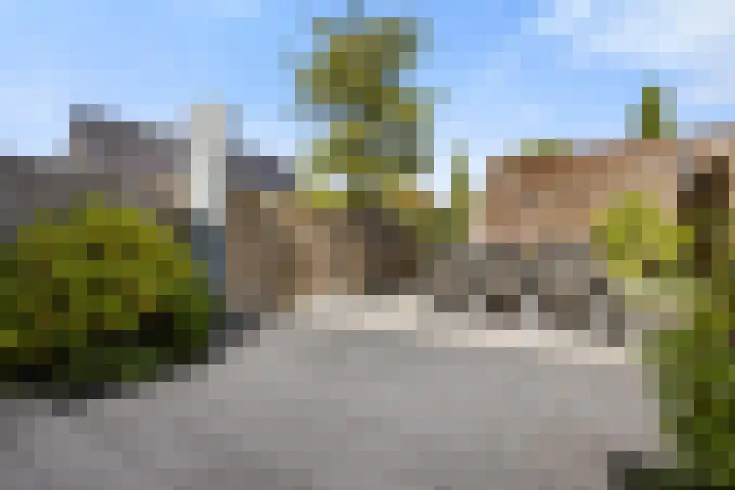 Hondsdraf 31 Voorthuizen thumbnail 4