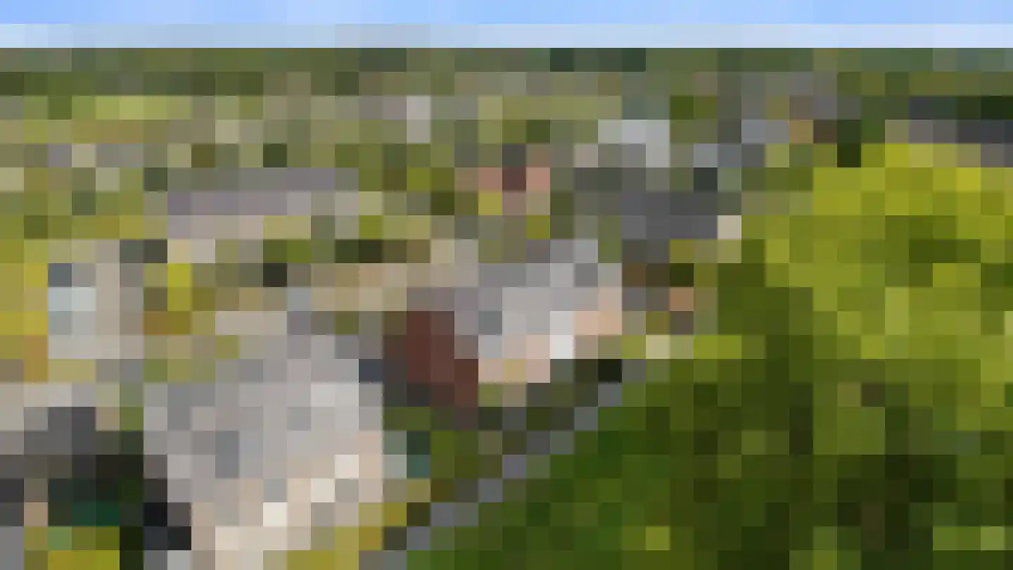 Hondsdraf 31 Voorthuizen thumbnail 5