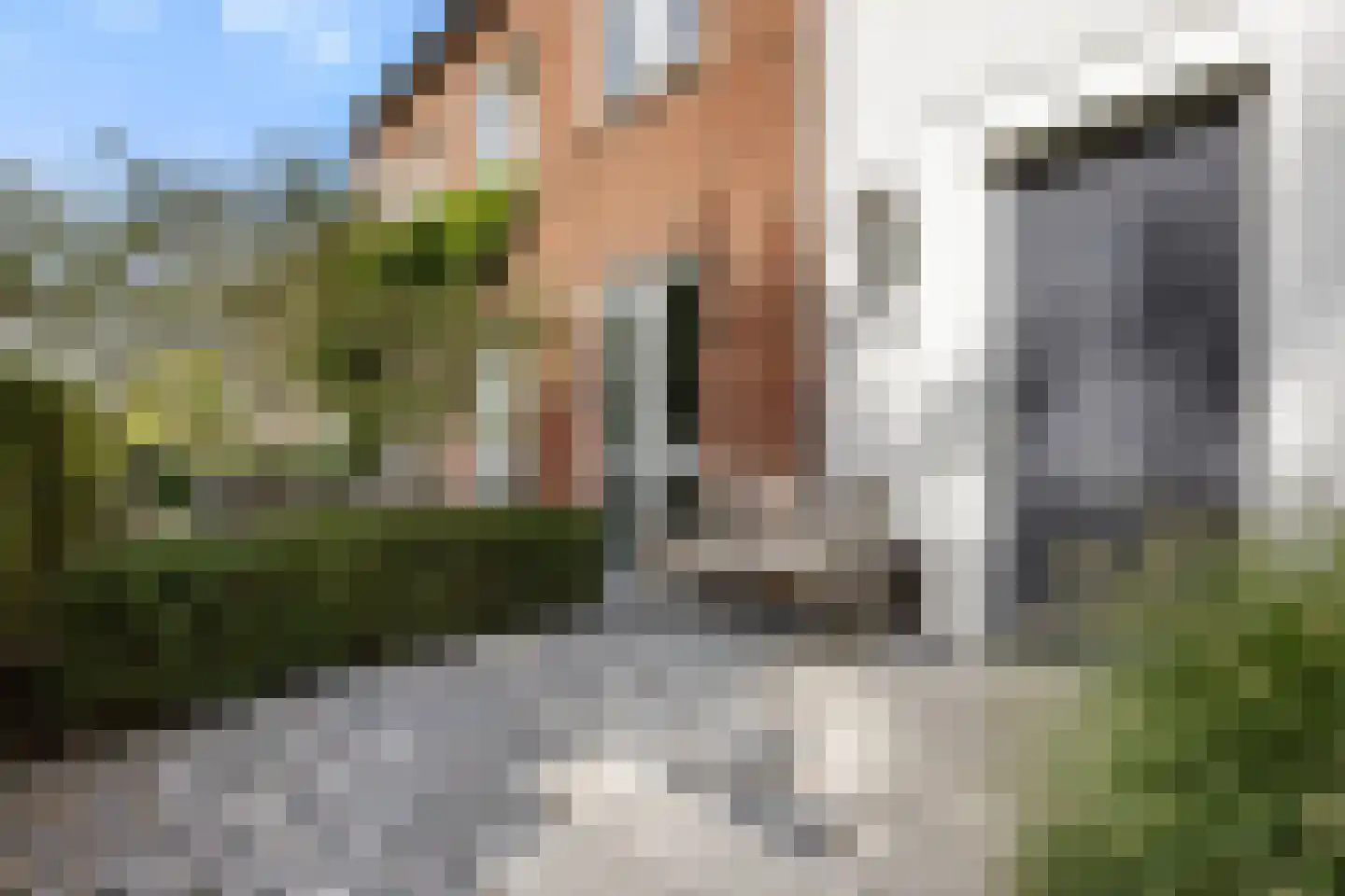 Hondsdraf 31 Voorthuizen thumbnail 6