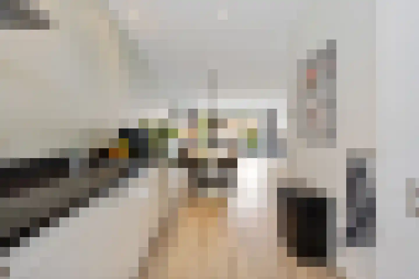 Hondsdraf 31 Voorthuizen thumbnail 8