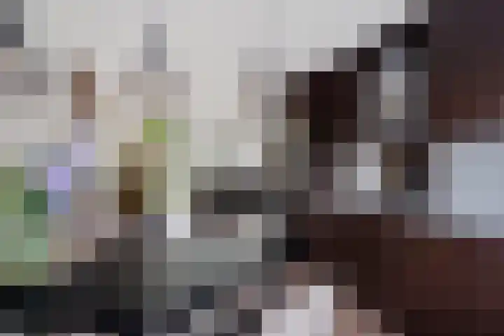Hondsdraf 34 Klazienaveen thumbnail 14