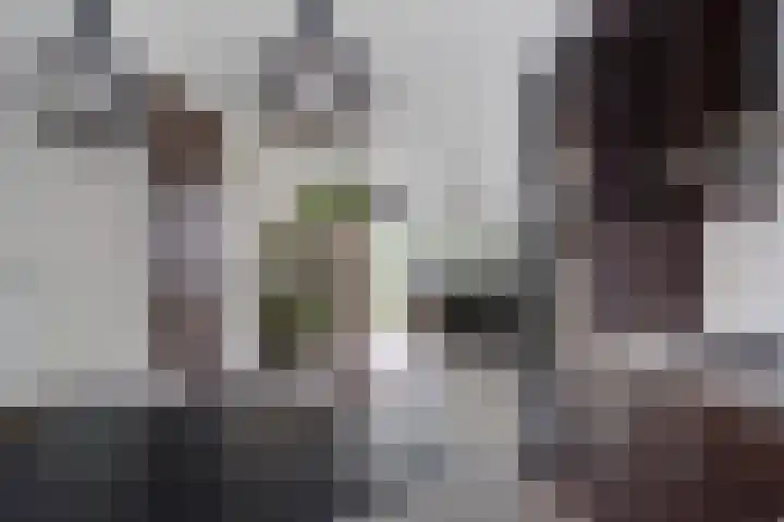 Hondsdraf 34 Klazienaveen thumbnail 15