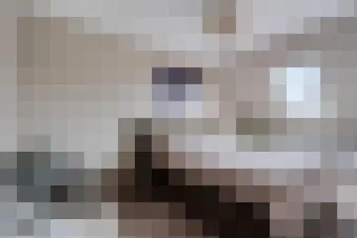 Hondsdraf 34 Klazienaveen thumbnail 21