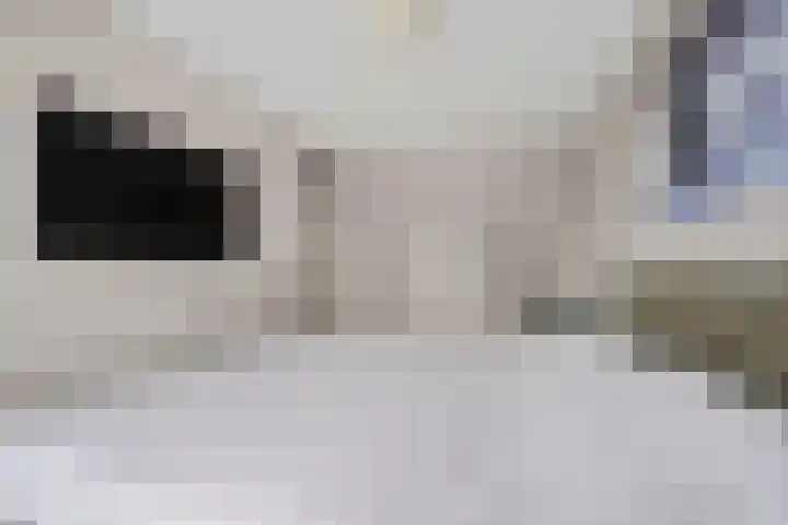 Hondsdraf 34 Klazienaveen thumbnail 22