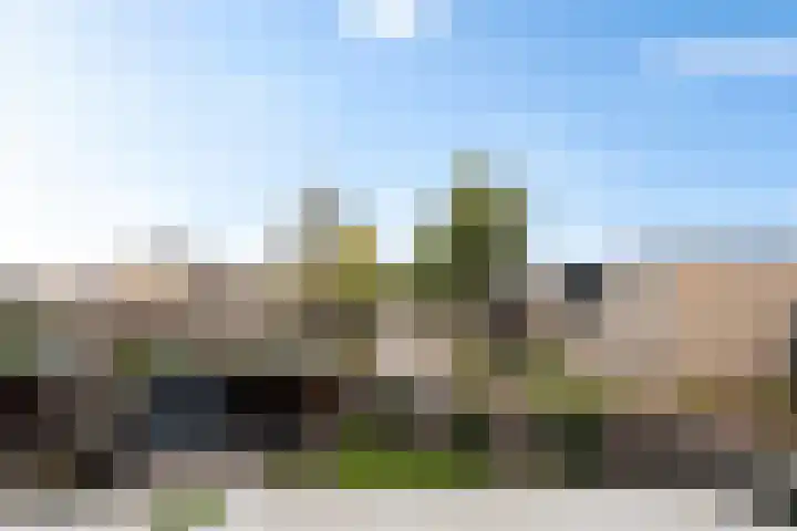 Hondsdraf 34 Klazienaveen thumbnail 23