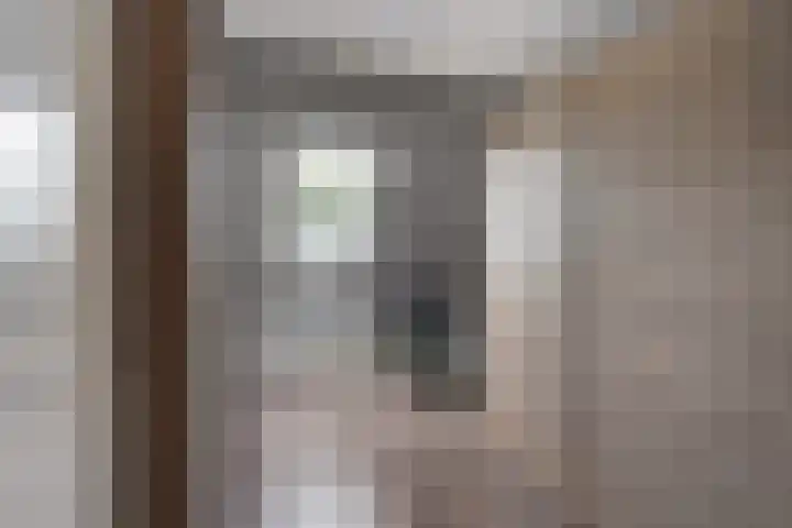 Hondsdraf 34 Klazienaveen thumbnail 25