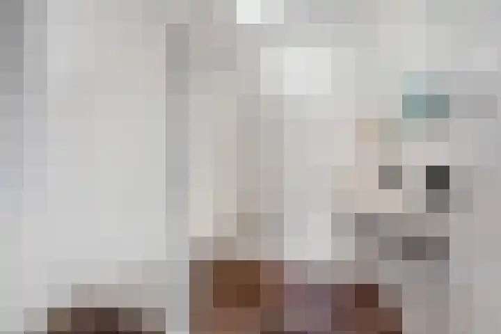 Hondsdraf 34 Klazienaveen thumbnail 26