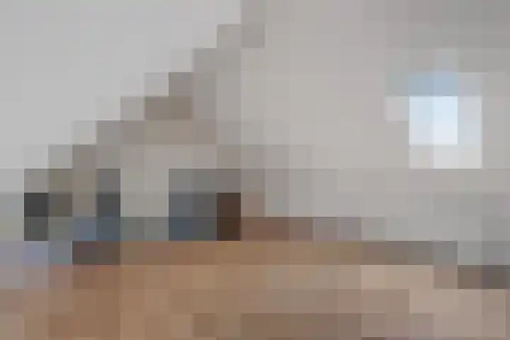 Hondsdraf 34 Klazienaveen thumbnail 30